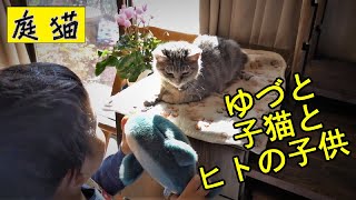 【庭猫】ゆづと子猫とヒトの子供