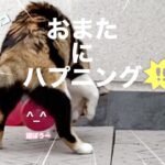 お股にハプニング！むぅちゃんピンチ！