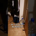 ドアを閉めたい飼い主vs 部屋に滑り込む猫