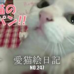 【愛猫絵日記-247】愛猫のモッパン動画を撮ってみました、ハプニング続出⁉