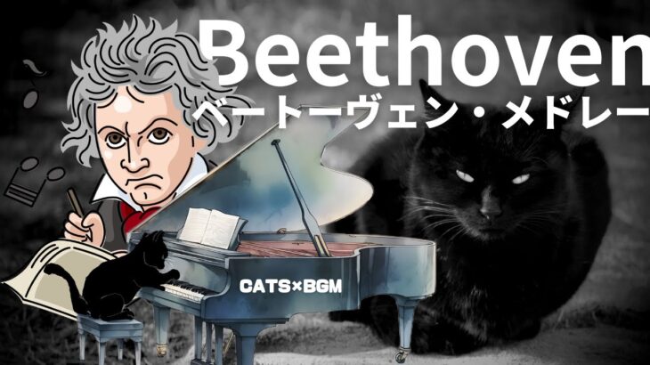 【作業用・癒し・勉強用BGM 】 ベートーヴェン・メドレー 😺 猫とBGM