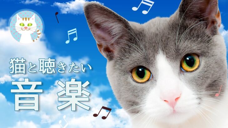 [猫が落ち着く音楽] 愛猫と聴きたい、かわいい音楽　ねこちゃんねる＊猫のための癒しの音楽