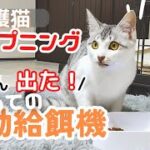 【元保護猫】子猫がはじめての自動給餌機とご対面でハプニングが…