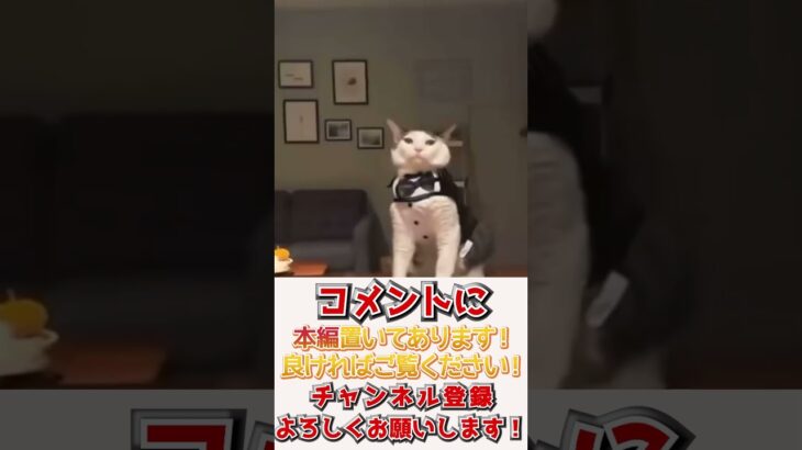 【神回】犬猫の面白動画にツッコミどころ満載なアフレコしてみたｗｗｗ【動物】【ハプニング映像】 #shorts