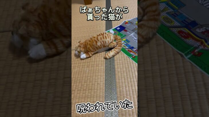 この猫何かおかしいwww【えんぴつぼうや】 #おもしろ動画 #おもしろ #おもちゃ #ねこ #こわい