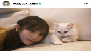 乃木坂46・与田祐希、猫との癒しショットを公開し「この空間にいたらとろけそう」「かわいすぎて反則」と反響【セレブニュース】