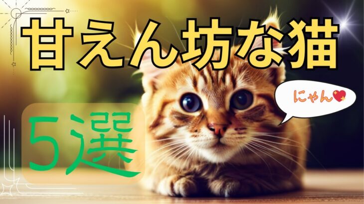 【可愛すぎる】甘えん坊な猫種5選‼癒しの猫ちゃんをご紹介✨