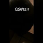 本日は黒猫アニキがお迎えくださいました👓 #shortvideo #shorts #猫動画 #かわいい猫 #猫好き #cute #おもしろ動画 #かわいい #ねこ #cat #ネコ #クール#兄貴