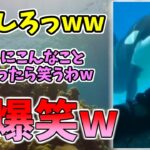 【動物おもしろ】猫・犬・動物の爆笑アフレコ！ハプニングだらけの犬、猫がおもしろすぎた集 Vol.６０