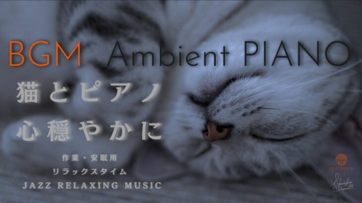 ver.2.4 猫の動画とピアノBGM 作業・安眠用 癒しの時間 Ambient jazz Piano Relaxing Music