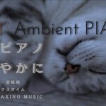 ver.2.5 猫の動画とピアノBGM 作業・安眠用 癒しの時間 Ambient Jazz Piano Relaxing Music