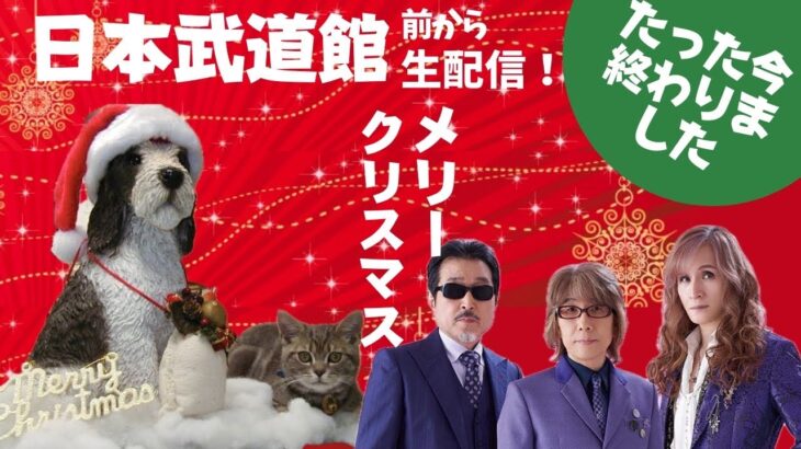 THE ALFEE Xmasイブの夜が、たった今終わりました‼️猫さんライブ配信中！