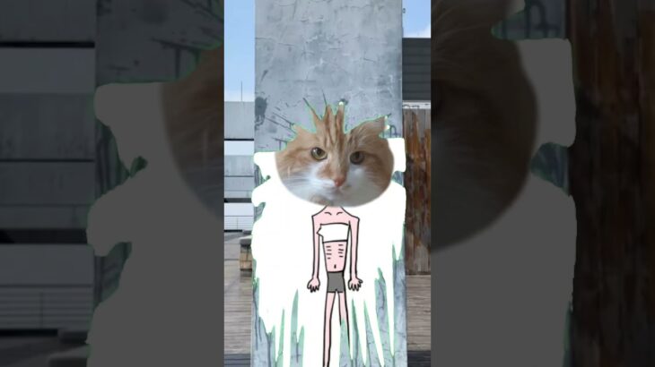 【削除覚悟！スレンダーな…】#shortvideo #shorts #Japanese#cat#KITTY#子猫#قطة#pusi#кот#고양이#kedi#bisad#แมว#ねこ#可愛い