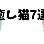 [癒し]とろ～んとする癒し猫厳選7選