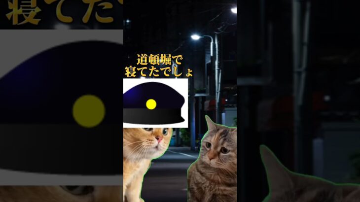 【猫ミーム】前の梅田でのハプニングの続き…(創作)#おすすめにのりたい #バズれ #shorts #猫ミーム