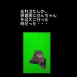 保育園あるある～【おしりフリフリ】の巻　猫ミーム　おもしろ動画　コメディー　癒し猫