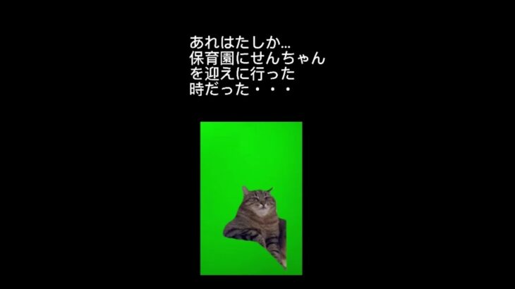 保育園あるある～【おしりフリフリ】の巻　猫ミーム　おもしろ動画　コメディー　癒し猫