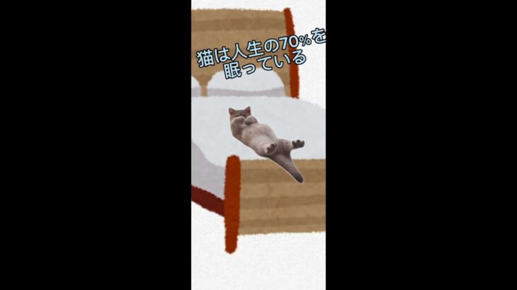 猫のおもしろ雑学#猫ミーム #雑学