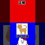 【いくつ知ってる？】猫のおもしろクイズ！【クイズ形式で学ぶ猫雑学】#猫 #2択クイズ #shorts