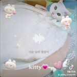 #catlife #cat #socute #catlover #catvideos #cutecat #고양이일상 #귀여운고양이 #猫 #かわいい猫