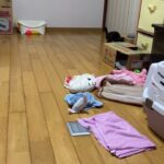 サッカー⚽️する生後3ヶ月子猫　#サッカー猫#ゴール決める猫#子猫#白黒猫