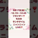 5/17 金曜日12:15〜サイベリアンの子猫のご紹介ライブ配信❣️珍しい😻ゴールデンの男の子や黒猫3兄弟🐈‍⬛、ネヴァマスカレードの子猫が出演します❣️#サイベリアン #子猫 #ペットショップ