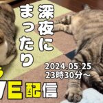 ふくこた部屋から深夜のまったりゲリラLIVEでハプニング！