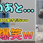 【動物おもしろ】猫・犬・動物の爆笑アフレコ！ハプニングだらけの犬、猫がおもしろすぎた集 Vol.１４７