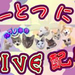 【Days66】ねこのこすやすや！庭で子ねこ育て？！おやすみ子猫たち！sleeping little kitten！20240802【live cat】1