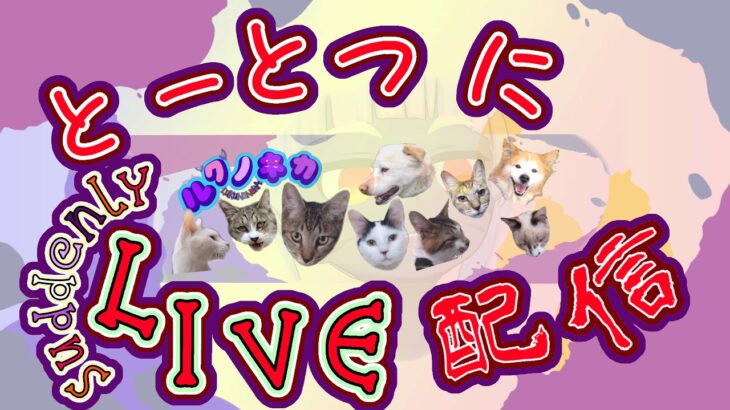 【Days66】ねこのこすやすや！庭で子ねこ育て？！おやすみ子猫たち！sleeping little kitten！20240802【live cat】1