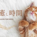 猫の癒し時間【888Hz他】CAT HEALING TIME MUSIC　猫ちゃんのお留守番用  猫ちゃんとのリラックスタイムミュージック