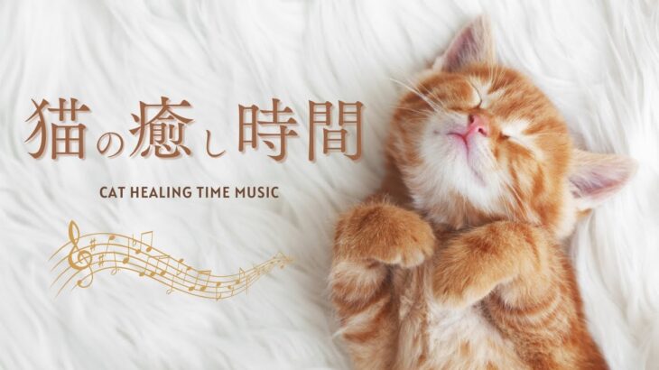 猫の癒し時間【888Hz他】CAT HEALING TIME MUSIC　猫ちゃんのお留守番用  猫ちゃんとのリラックスタイムミュージック