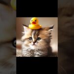 #cute #healing #kitten #かわいい猫 #癒し動画