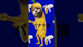 #バナナ猫 #猫ダンス #猫動画 #おもしろ動画 #はぴはぴ