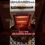 猫のおもしろ動画にツッコミどころ満載なアフレコしてみた＃172【ストーブ】【ハプニング映像】#shorts　#アフレコ #面白動画