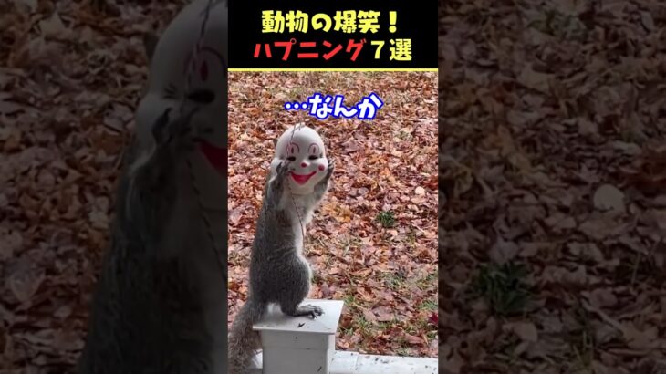 Xで8.4億回バズった動物ハプニング動画7選！7Animal Happenings Videos That Got 840 Million Buzz on X!#犬#猫#動物#ペット#shorts