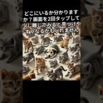 たくさんの子猫が遊んでいる写真から、1匹だけ隠れている子犬を探せますか？ #違和感 #違い #違いを見つける