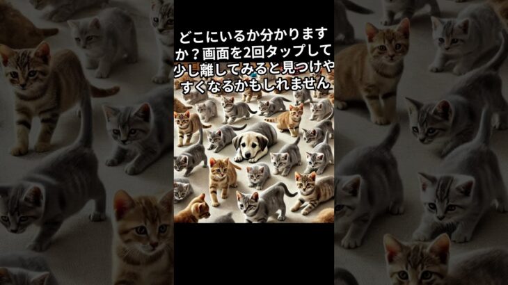 たくさんの子猫が遊んでいる写真から、1匹だけ隠れている子犬を探せますか？ #違和感 #違い #違いを見つける