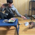 保護子猫と初めてのごはんライブ