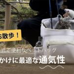 【Giipet】愛猫との楽しいお出かけ！おしゃれなバックパックでハプニング発生!?