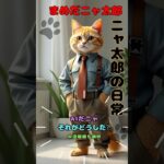 【まめだニャ太郎】ニャ太郎の日常No.1  #猫　#おもしろ猫　#癒し猫　#ニャンとかしてよ