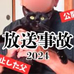 猫用ハンモックの宣伝中にうっかり公開う◯ちしちゃったニャンチューバー 【ハプニング映像集】