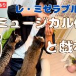 【未公開シーン】子猫と先住猫の手術まであと少し！！メロメロのミュージカル俳優