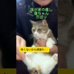 我が家の癒し・猫ちゃん‼︎